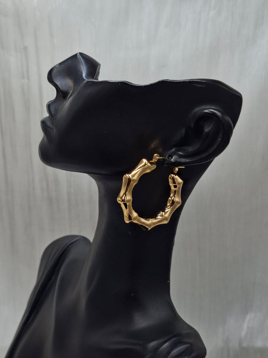 Shop Standard Hoop Earring for Women at ElsaLagos in Nigeria