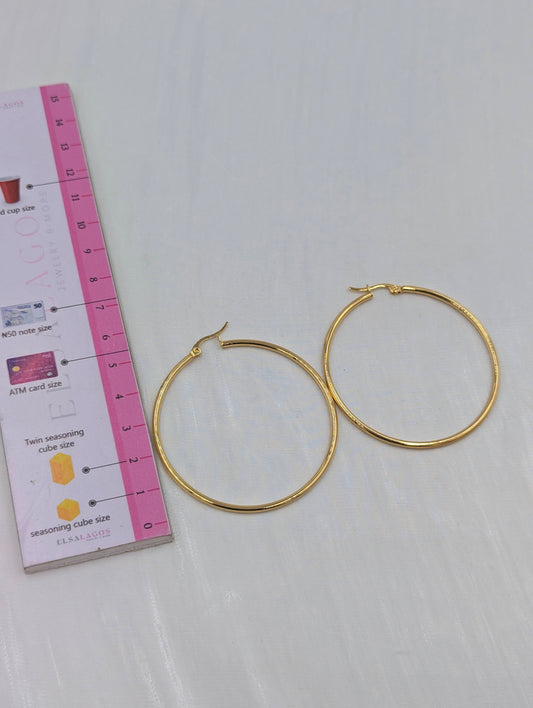 Classic Hoop Earring (2)
