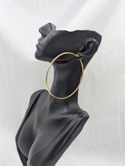 Classic Big Hoop earrings (4)