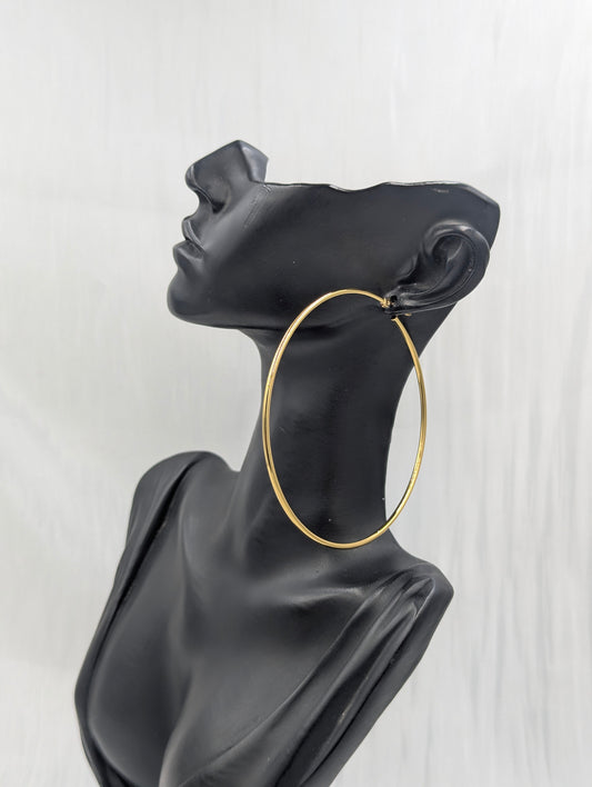 Classic Large Hoop Earrings (5)