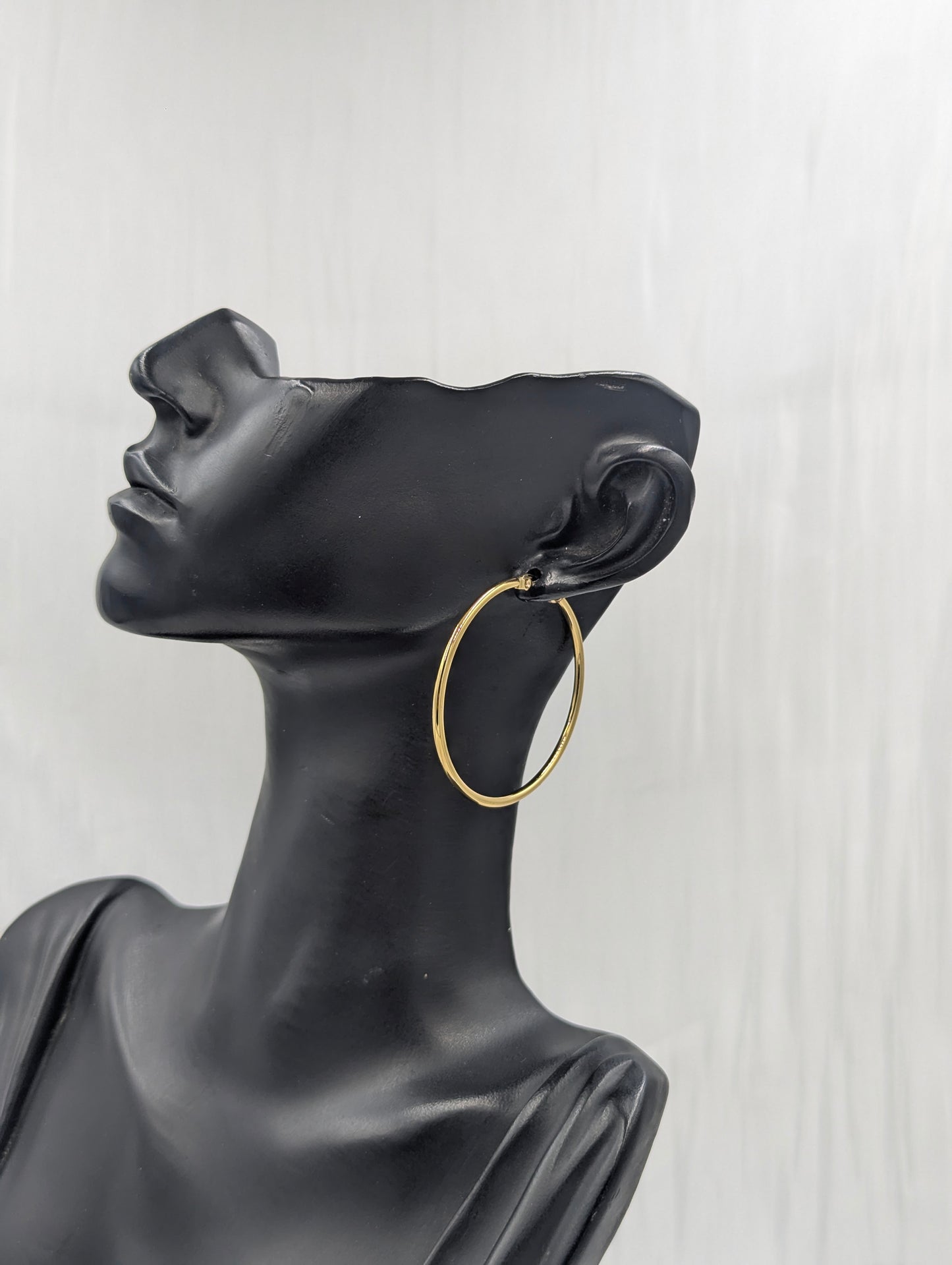 Classic Small Hoop Earrings (1)