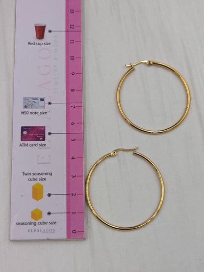 Classic Small Hoop Earrings (1)