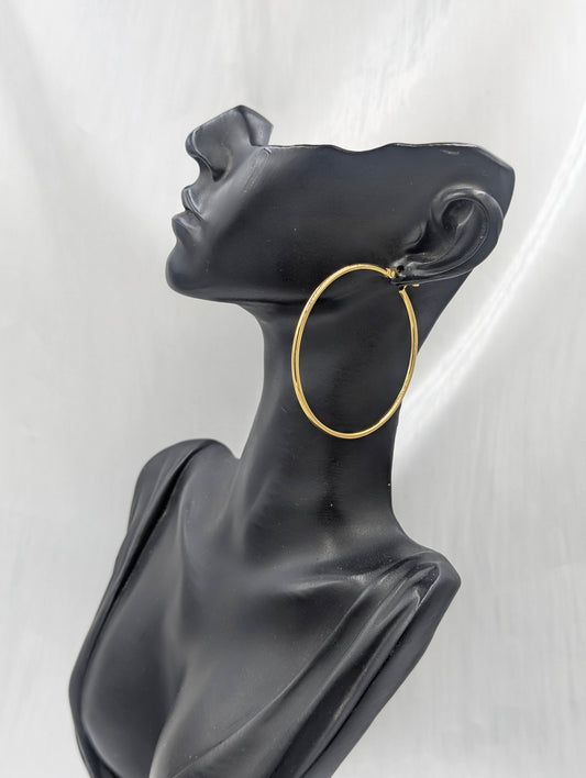 Classic Hoop Earring (2)