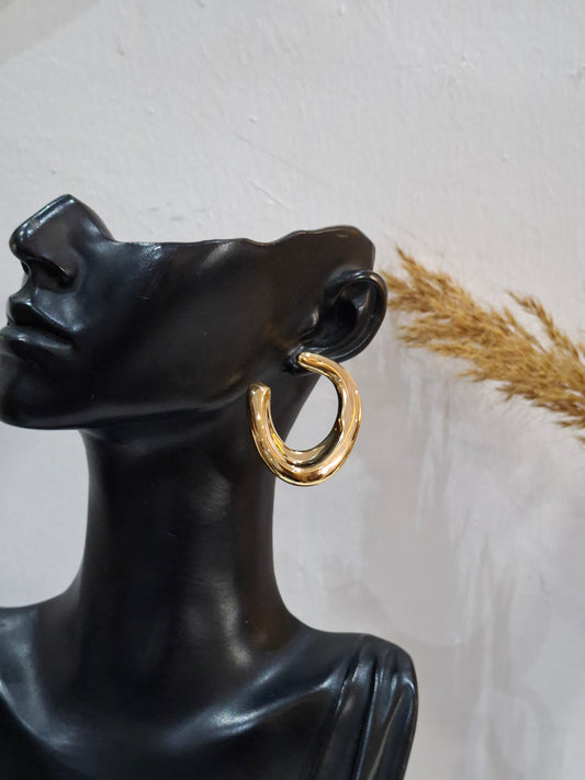 Echo Earrings