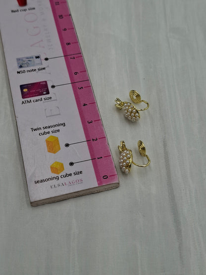 Pineapple Clip On Earrings