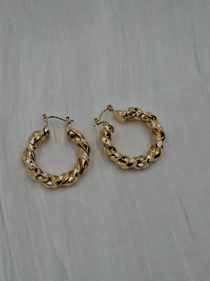 Small Spiral Hoop Earrings