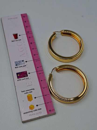 Diane Hoops