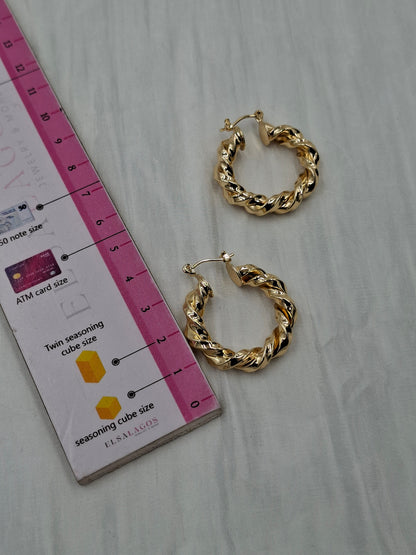 Small Spiral Hoop Earrings